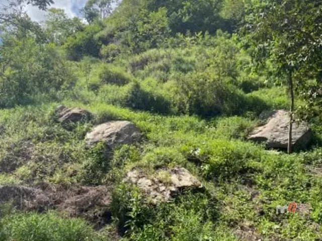 Terreno com 1500m², à venda, no bairro CENTRO em Areal