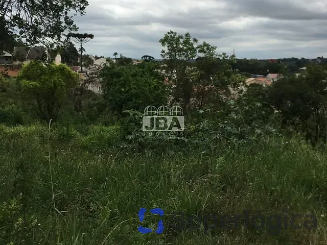 Terreno com 3872m², à venda, no bairro Abranches em Curitiba