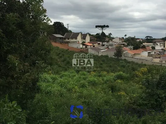 Terreno com 3872m², à venda, no bairro Abranches em Curitiba
