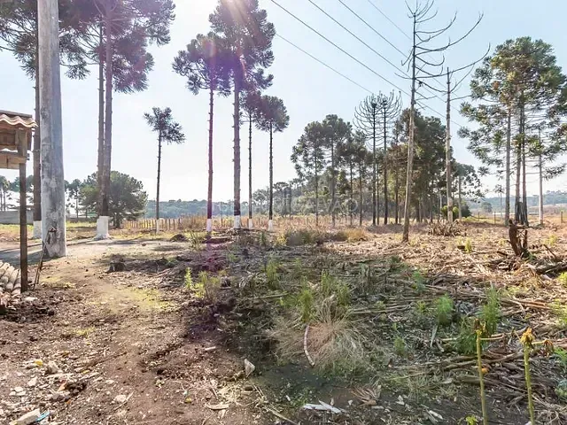Terreno com 6m², à venda, no bairro Rio Pequeno em São José Dos Pinhais