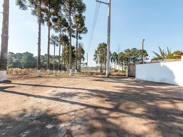 Terreno com 6m², à venda, no bairro Rio Pequeno em São José Dos Pinhais