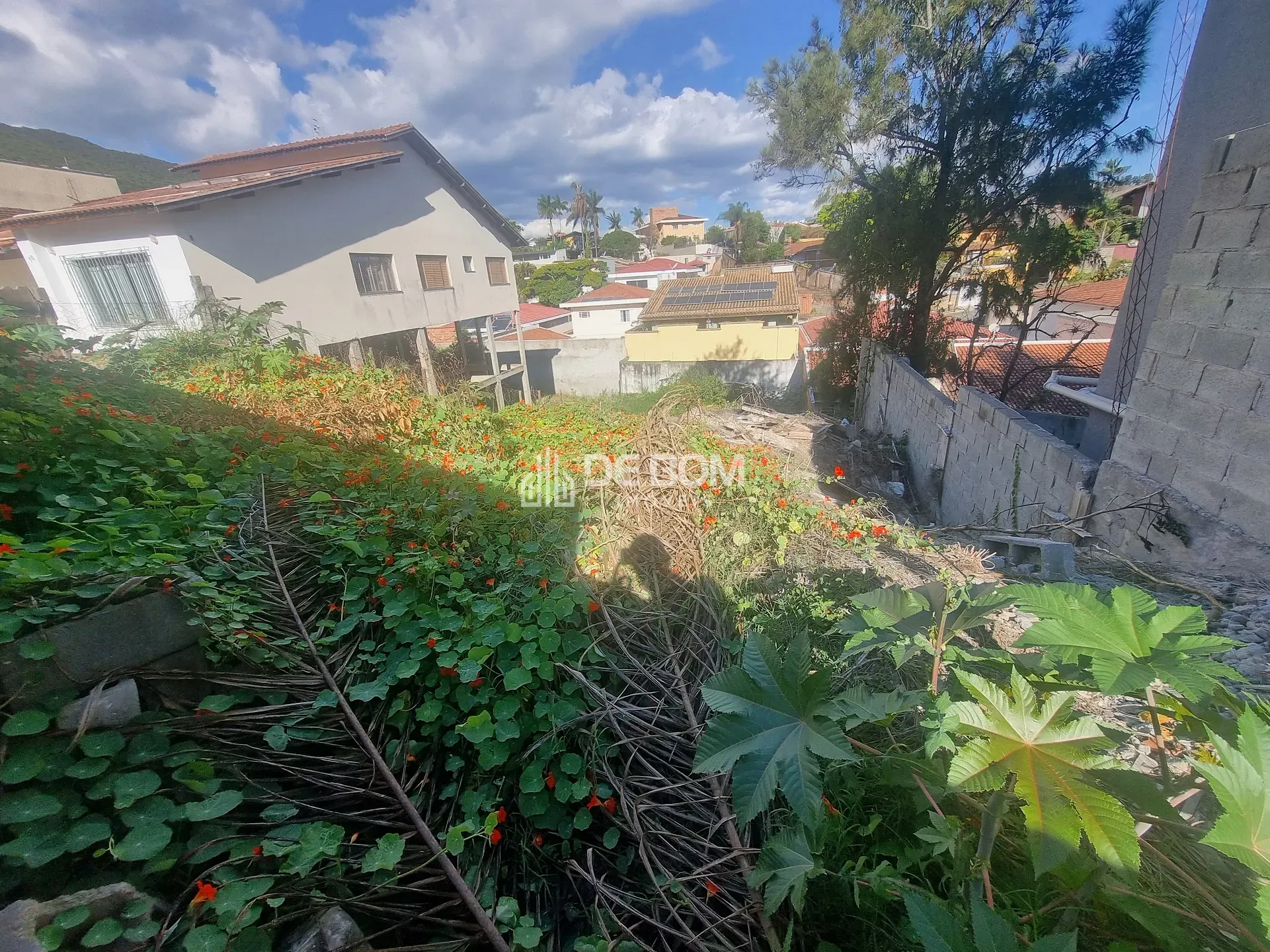 Terreno, 442 m² - Foto 7