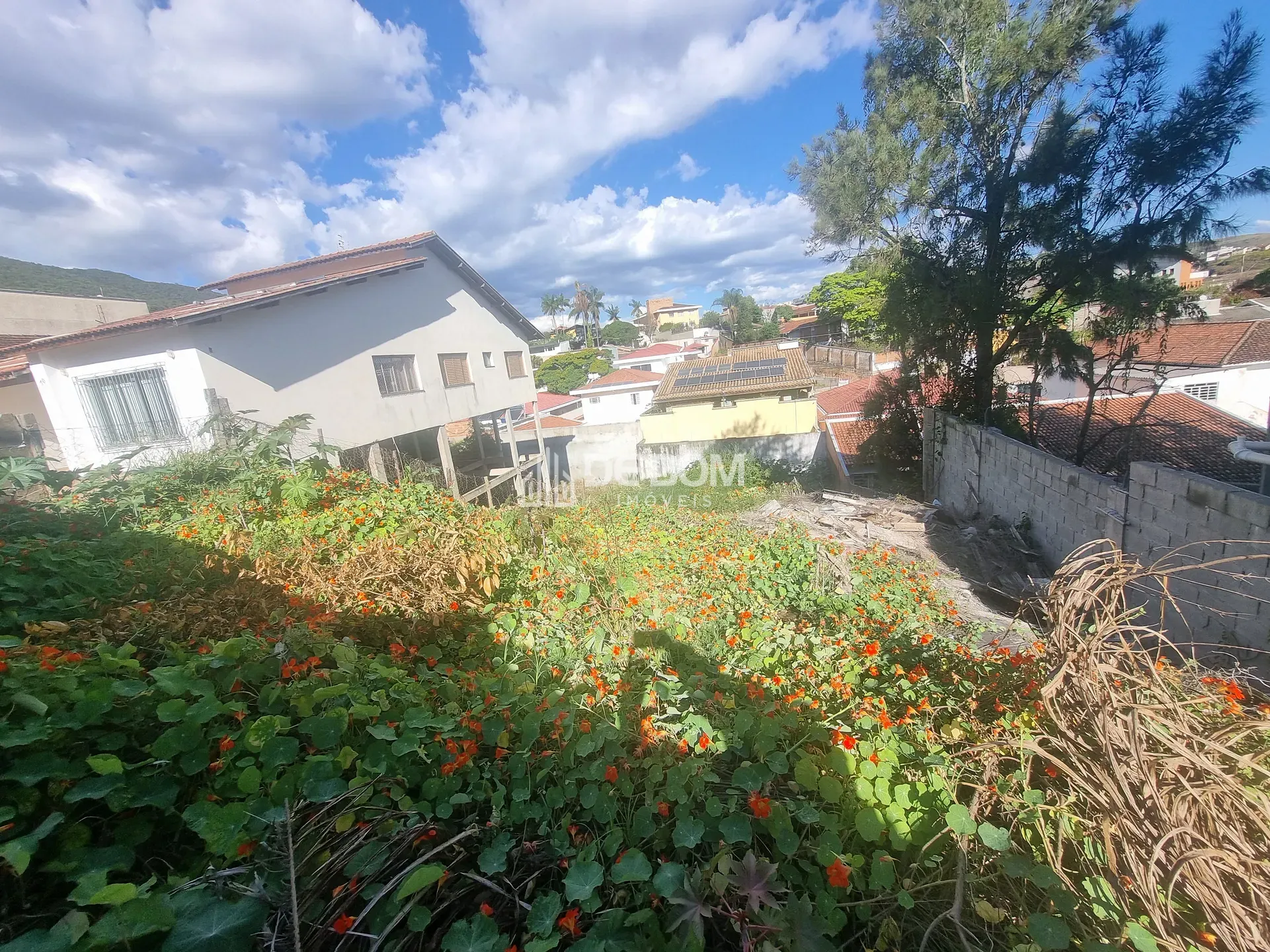 Terreno, 442 m² - Foto 5