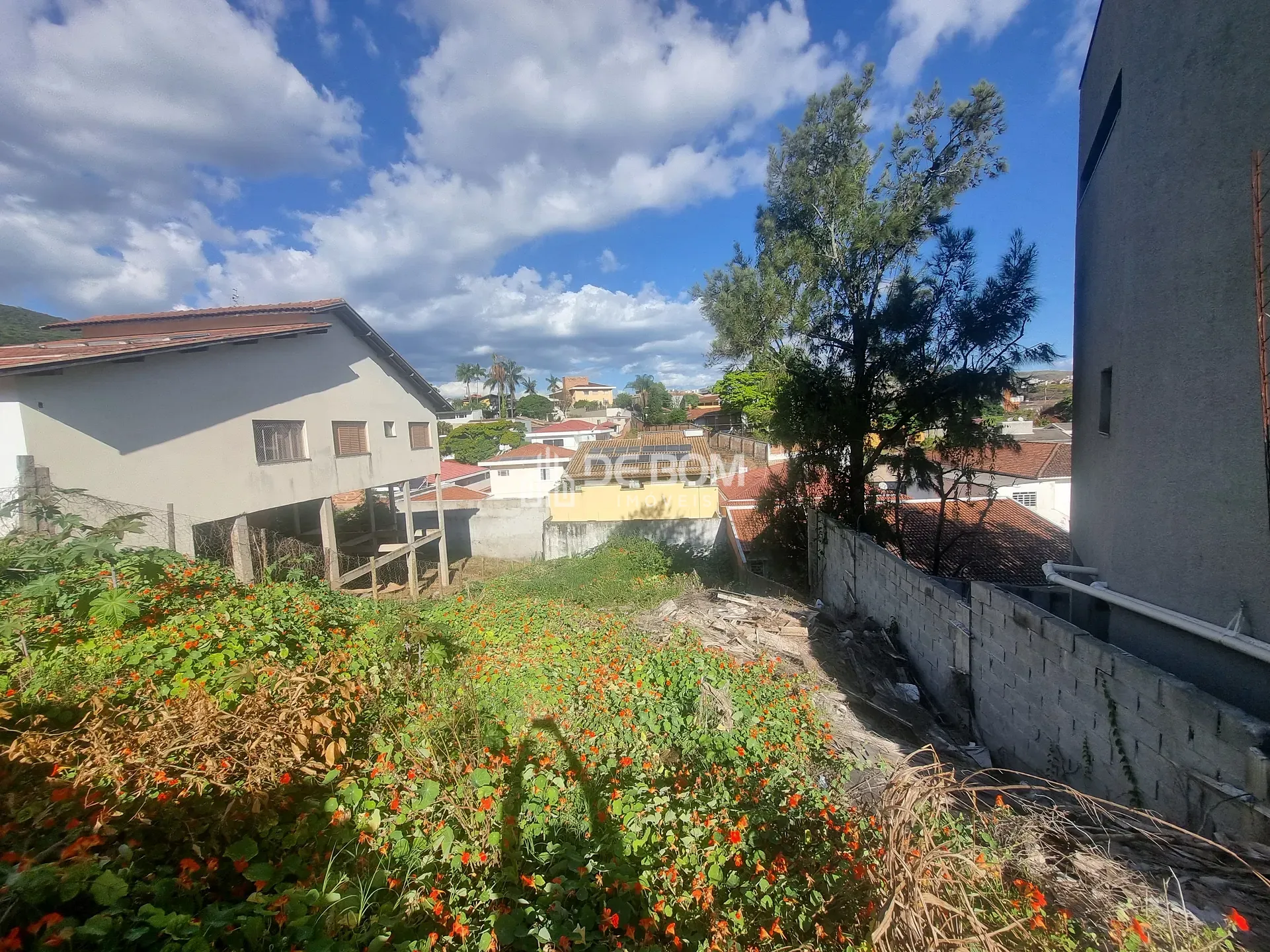 Terreno, 442 m² - Foto 6