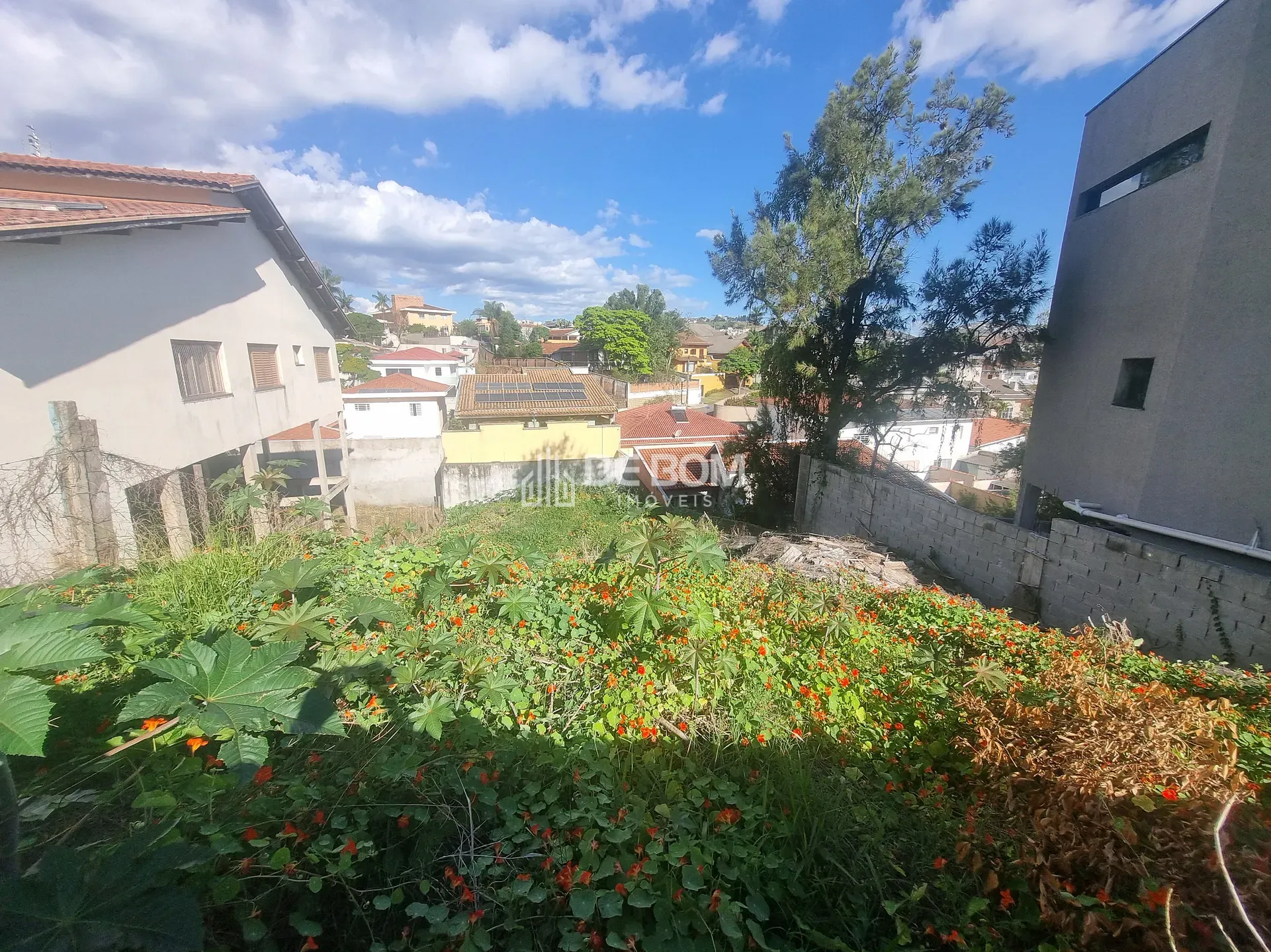 Terreno, 442 m² - Foto 3