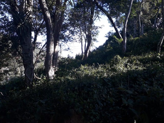 Terreno com 2394m², à venda, no bairro Carangola em Petrópolis