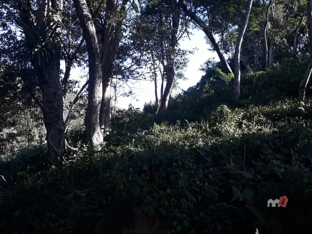 Terreno com 2394m², à venda, no bairro Carangola em Petrópolis