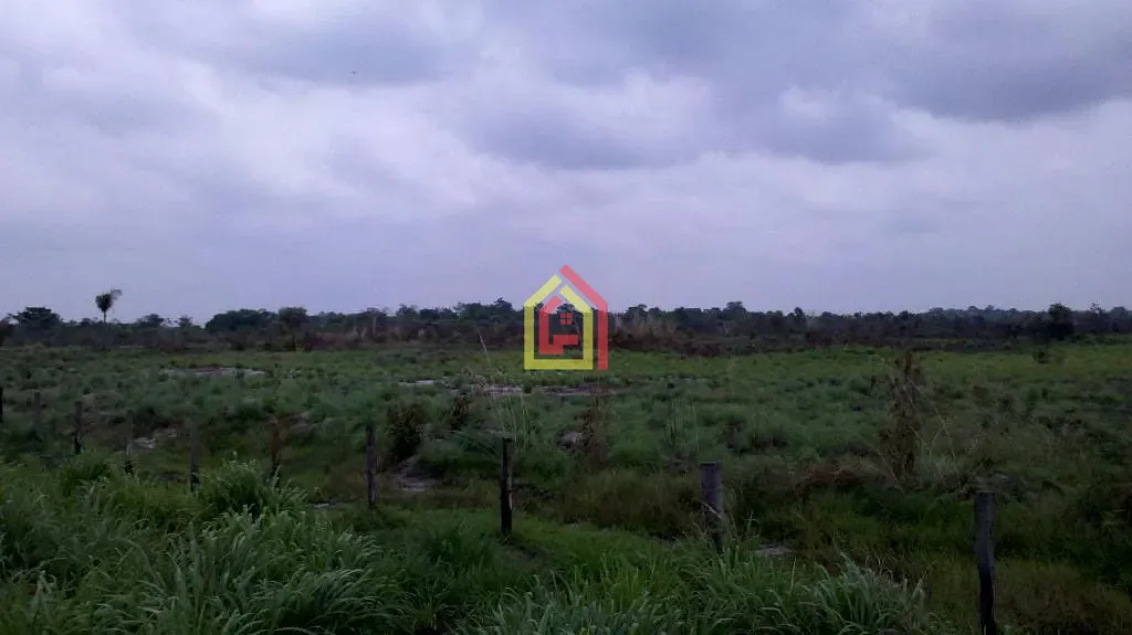 Terreno à venda com 100000000m² de terreno no Morada Nova, Marabá (PA) — foto 4 de 14