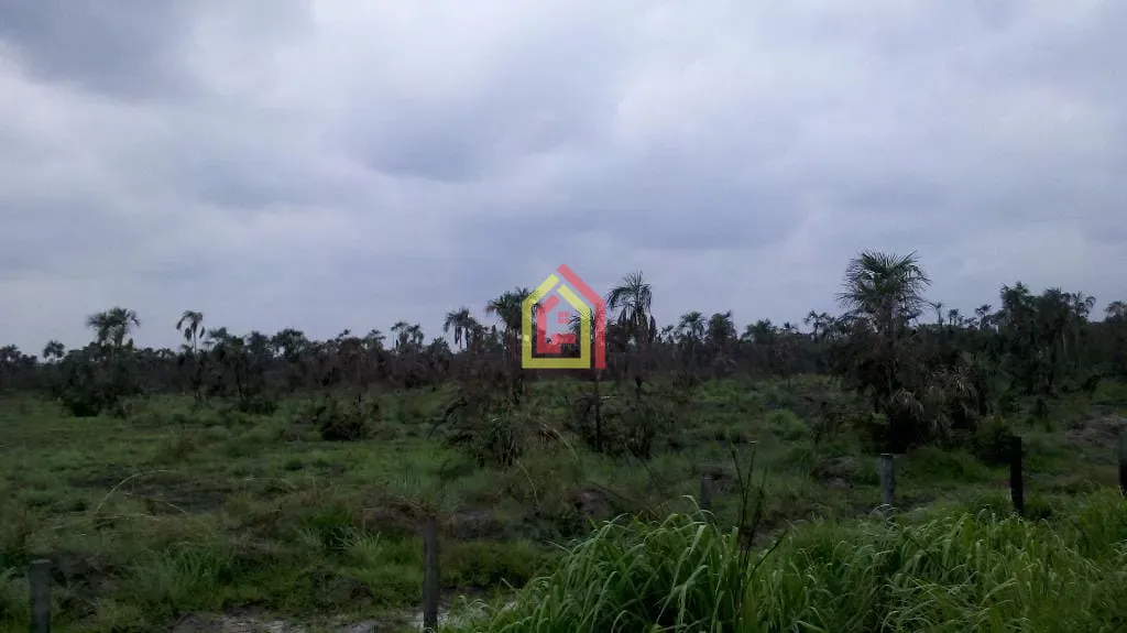 Terreno à venda com 100000000m² de terreno no Morada Nova, Marabá (PA) — foto 3 de 14