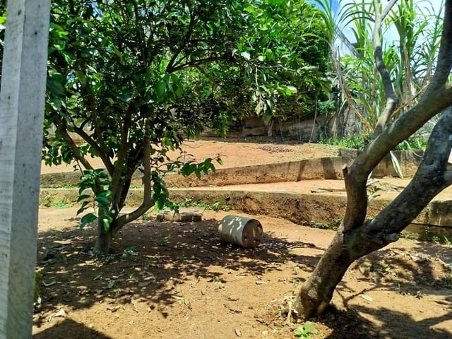Terreno com 300m², à venda, no bairro Jardim Bandeirantes I em Cataguases