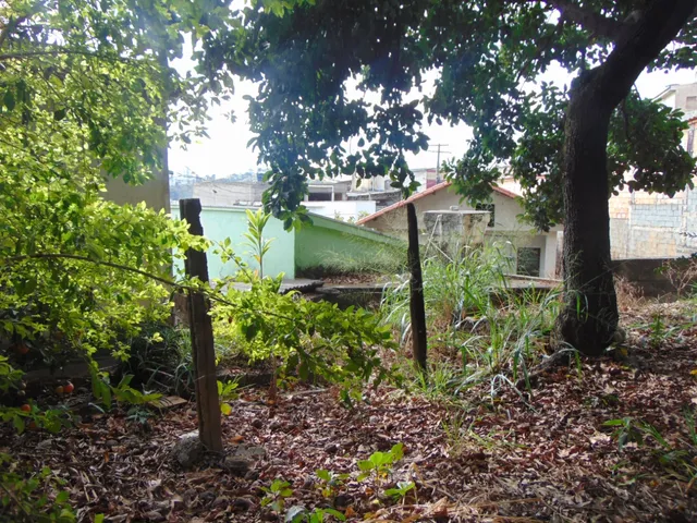 Terreno com 550m², à venda, no bairro Jardim São José em Belo Horizonte
