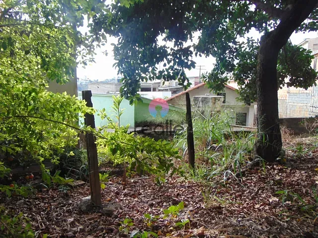 Terreno com 550m², à venda, no bairro Jardim São José em Belo Horizonte