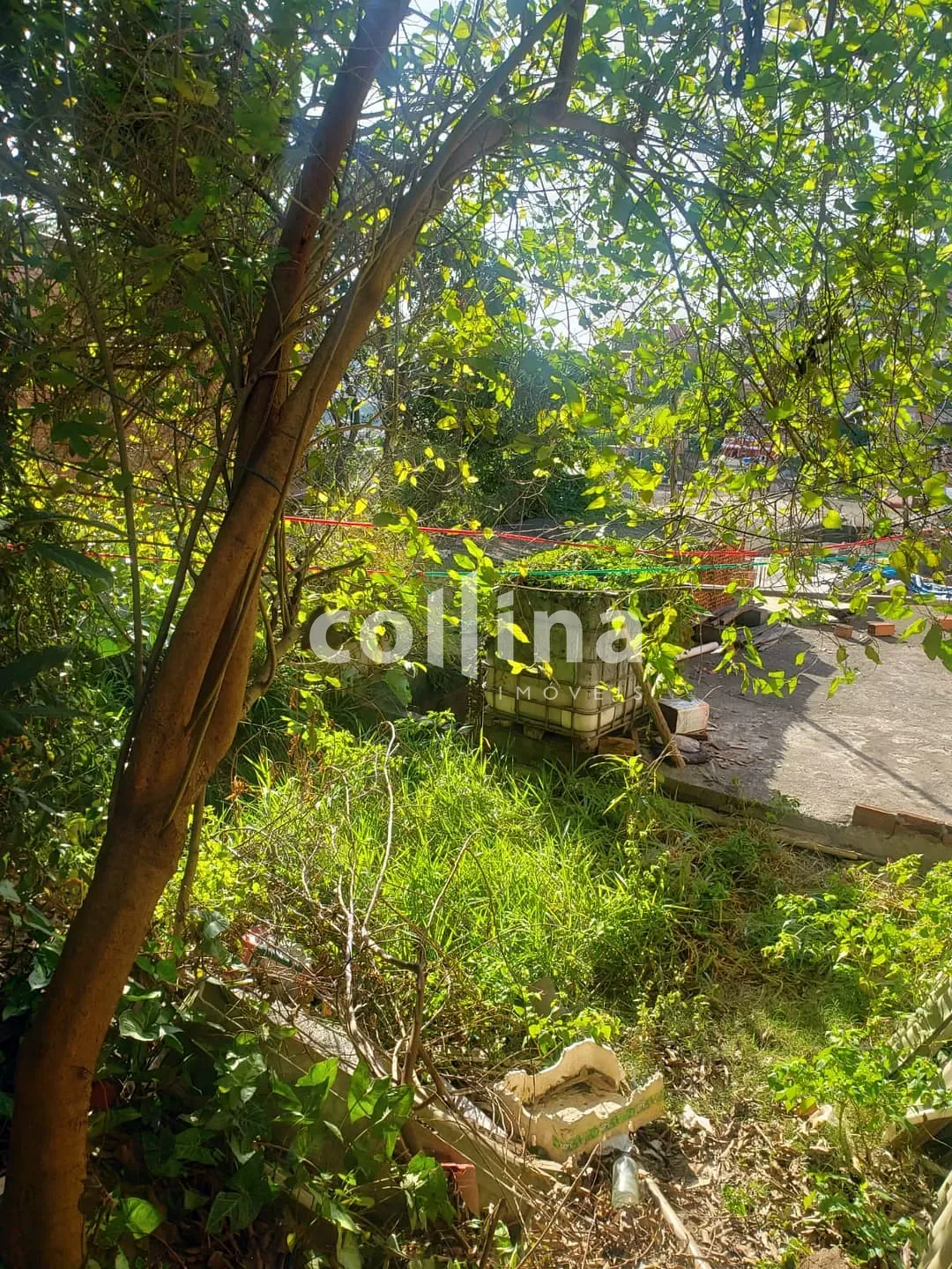 Terreno, 250 m² - Foto 3