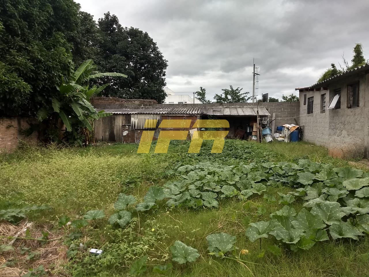 Terreno, 1491 m² - Foto 7