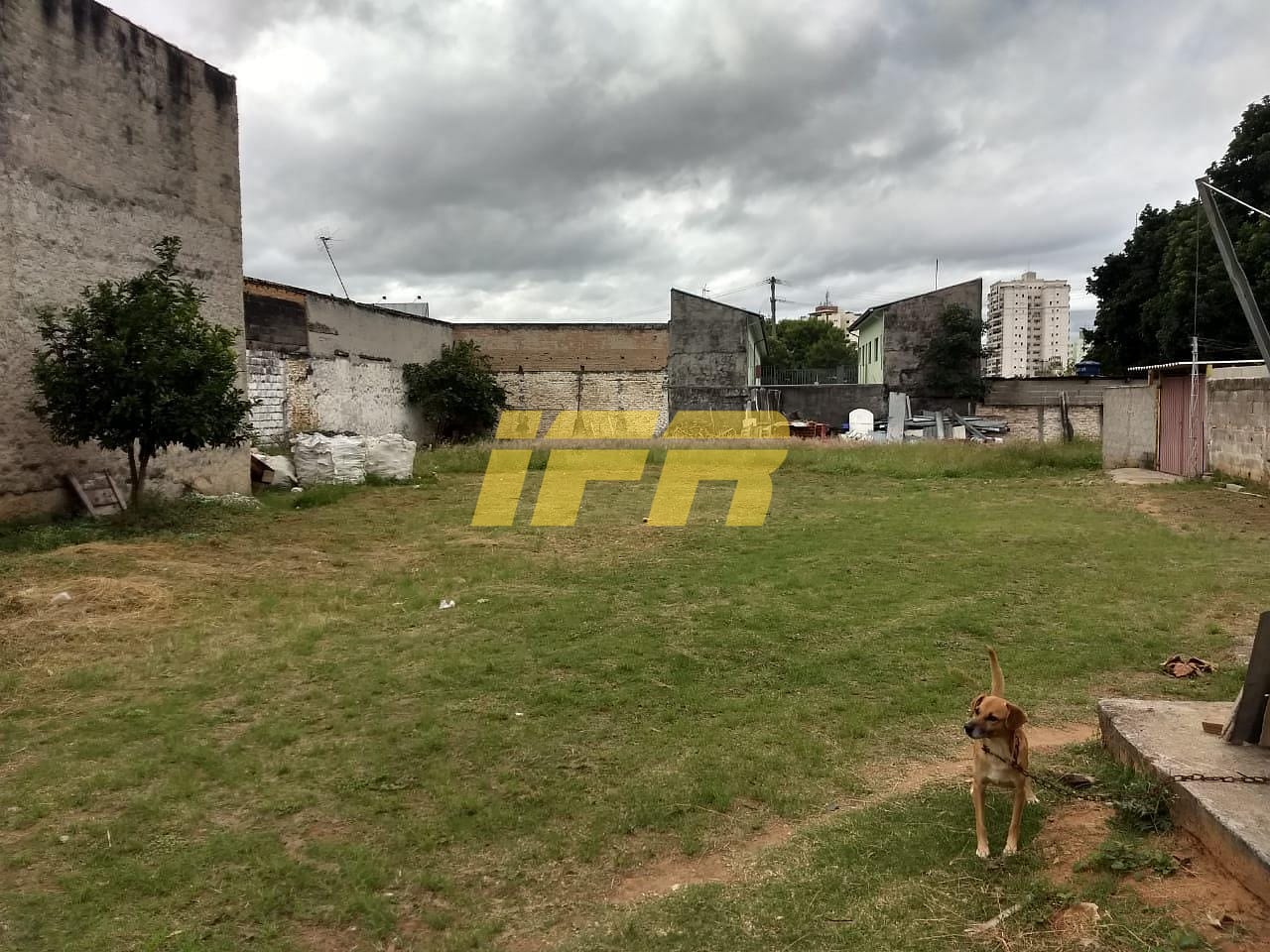 Terreno, 1491 m² - Foto 3