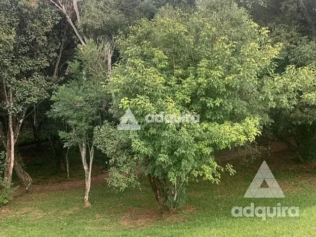 Terreno com 300m², à venda, no bairro Jardim Carvalho em Ponta Grossa