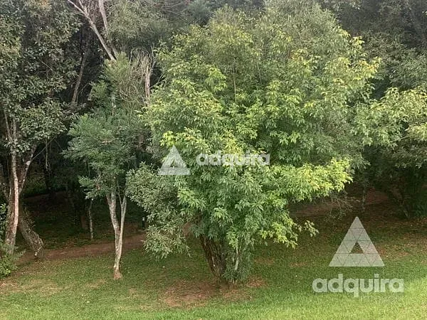 Terreno, 300 m² - Foto 5