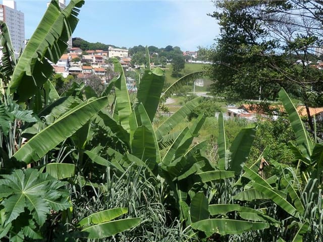 Foto do Terreno - Terreno comercial à venda, Vila São Bento, São José dos Campos. | INDEPENDENCE NEGOCIOS IMOBILIARIOS LTDA