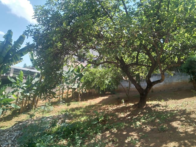 Terreno com 644m², à venda, no bairro Jardim Bandeirantes I em Cataguases