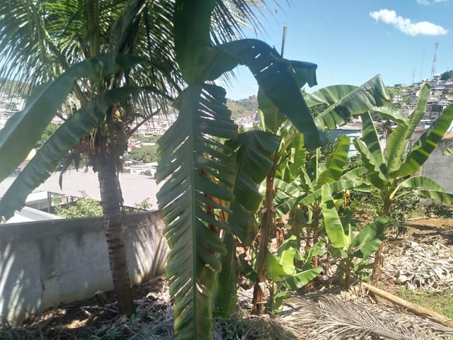 Terreno com 644m², à venda, no bairro Jardim Bandeirantes I em Cataguases