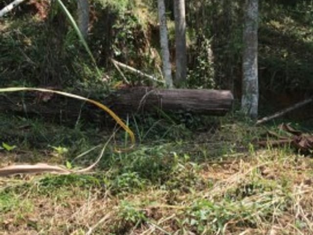 Terreno com 734m², à venda, no bairro Pedro do Rio em Petrópolis