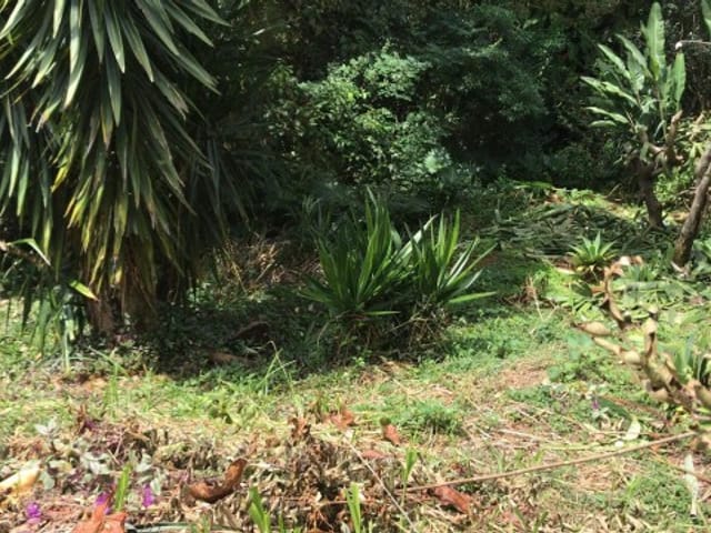 Terreno com 734m², à venda, no bairro Pedro do Rio em Petrópolis