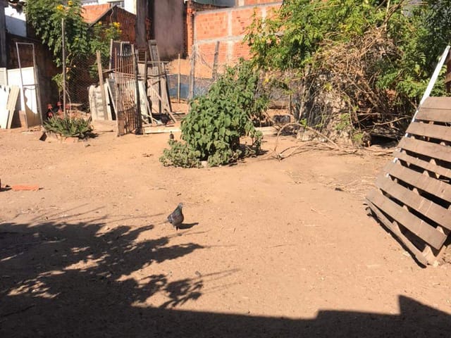Terreno com 255m², à venda, no bairro Jardim Santa Rosa em Campinas
