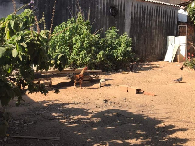Terreno com 255m², à venda, no bairro Jardim Santa Rosa em Campinas