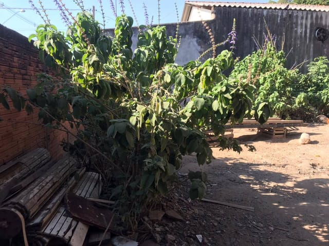 Terreno com 255m², à venda, no bairro Jardim Santa Rosa em Campinas