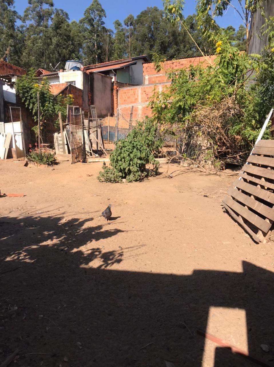 Terreno, 255 m² - Foto 3