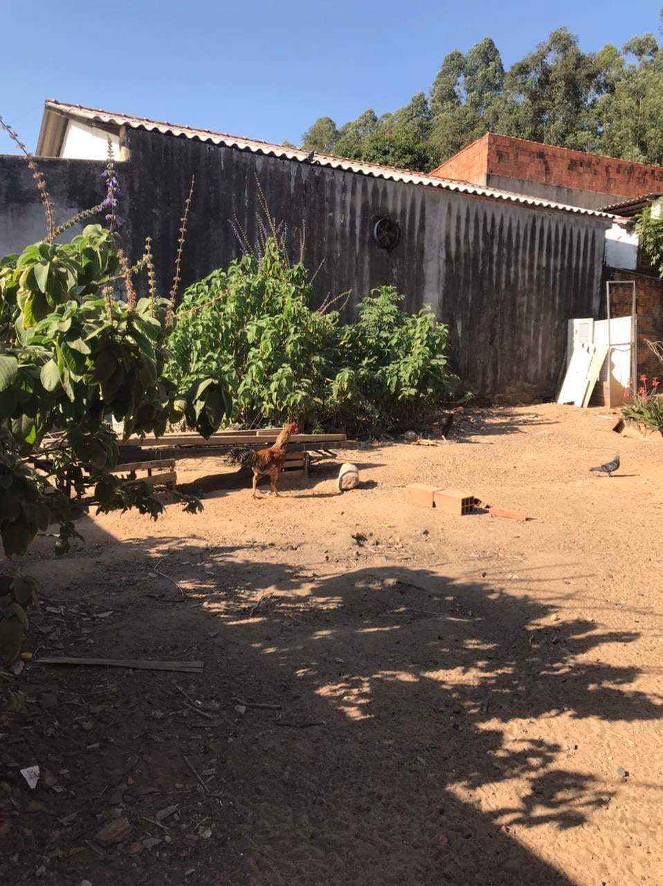 Terreno, 255 m² - Foto 4