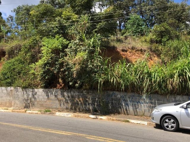 Terreno com 3800m², à venda, no bairro Chácara do Solar II (Fazendinha) em Santana de Parnaíba