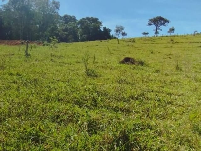 Terreno com 8900m², à venda, no bairro Anhumas  em Anhumas
