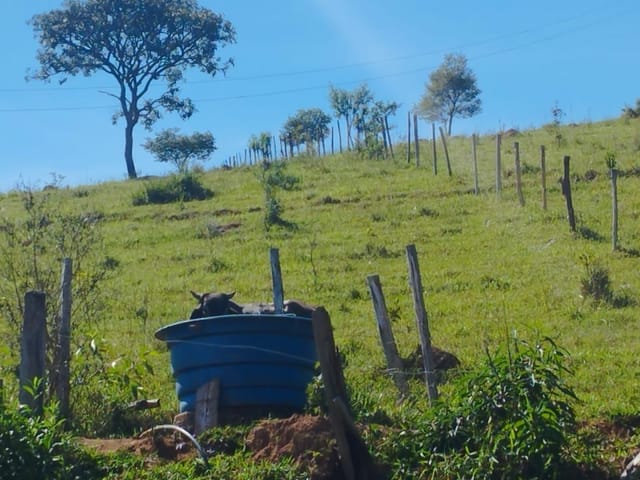 Terreno com 8900m², à venda, no bairro Anhumas  em Anhumas