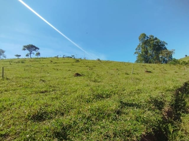Terreno com 8900m², à venda, no bairro Anhumas  em Anhumas