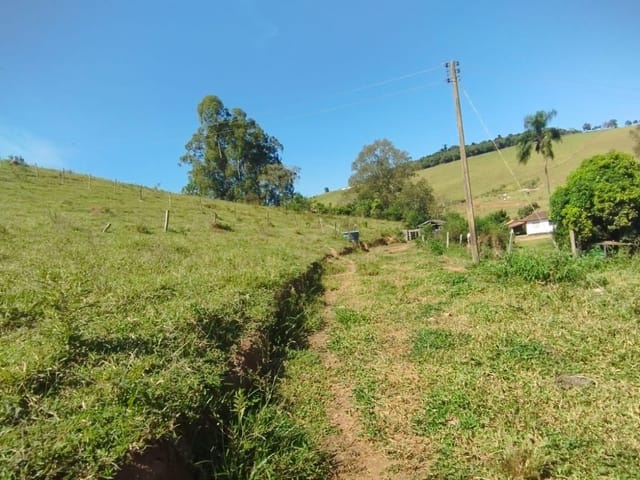 Terreno com 8900m², à venda, no bairro Anhumas  em Anhumas