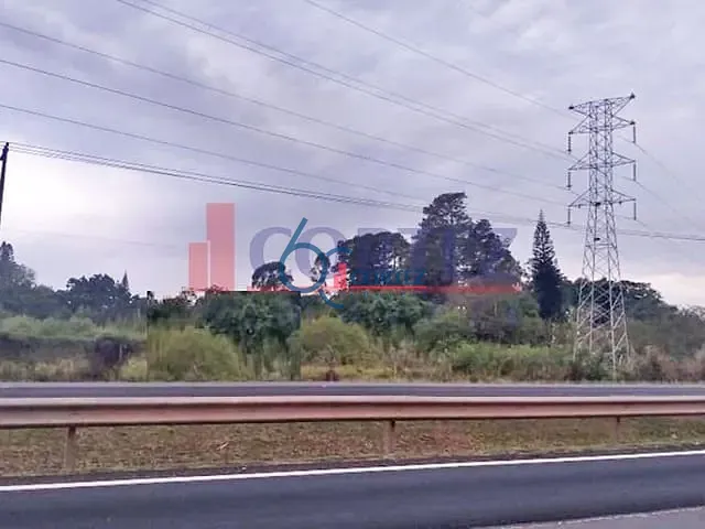 Terreno com 3256m², à venda, no bairro Jardim Novo II em Rio Claro