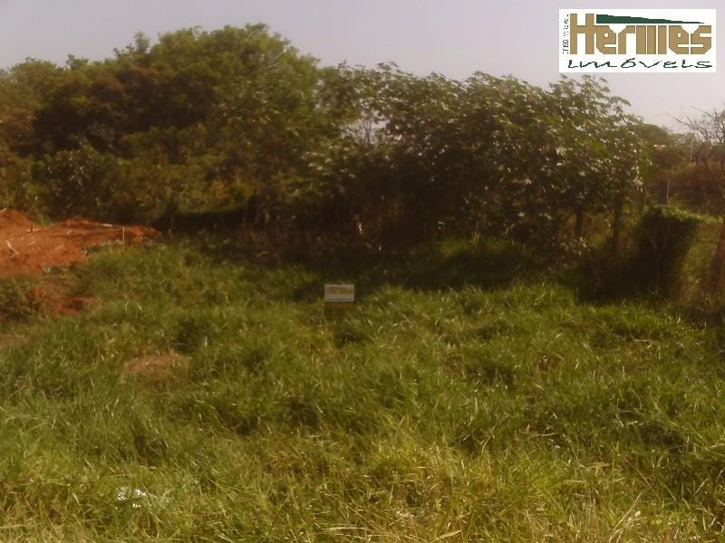 Terreno, 250 m² - Foto 2