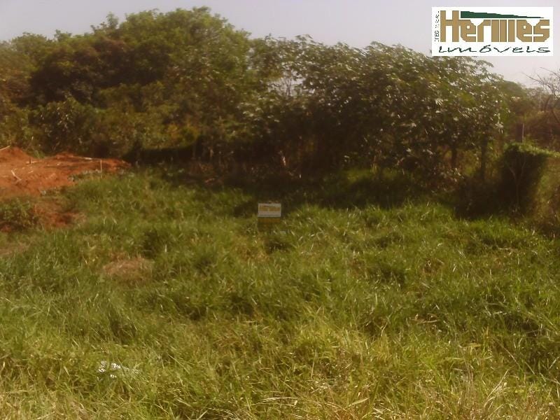 Terreno, 250 m² - Foto 1