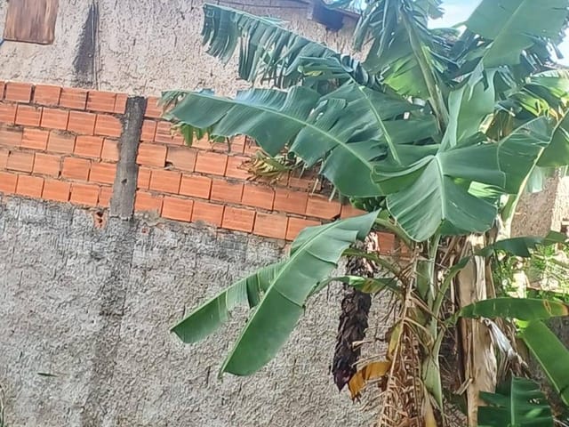 Terreno com 200m², à venda, no bairro Santa Clara em Campinas