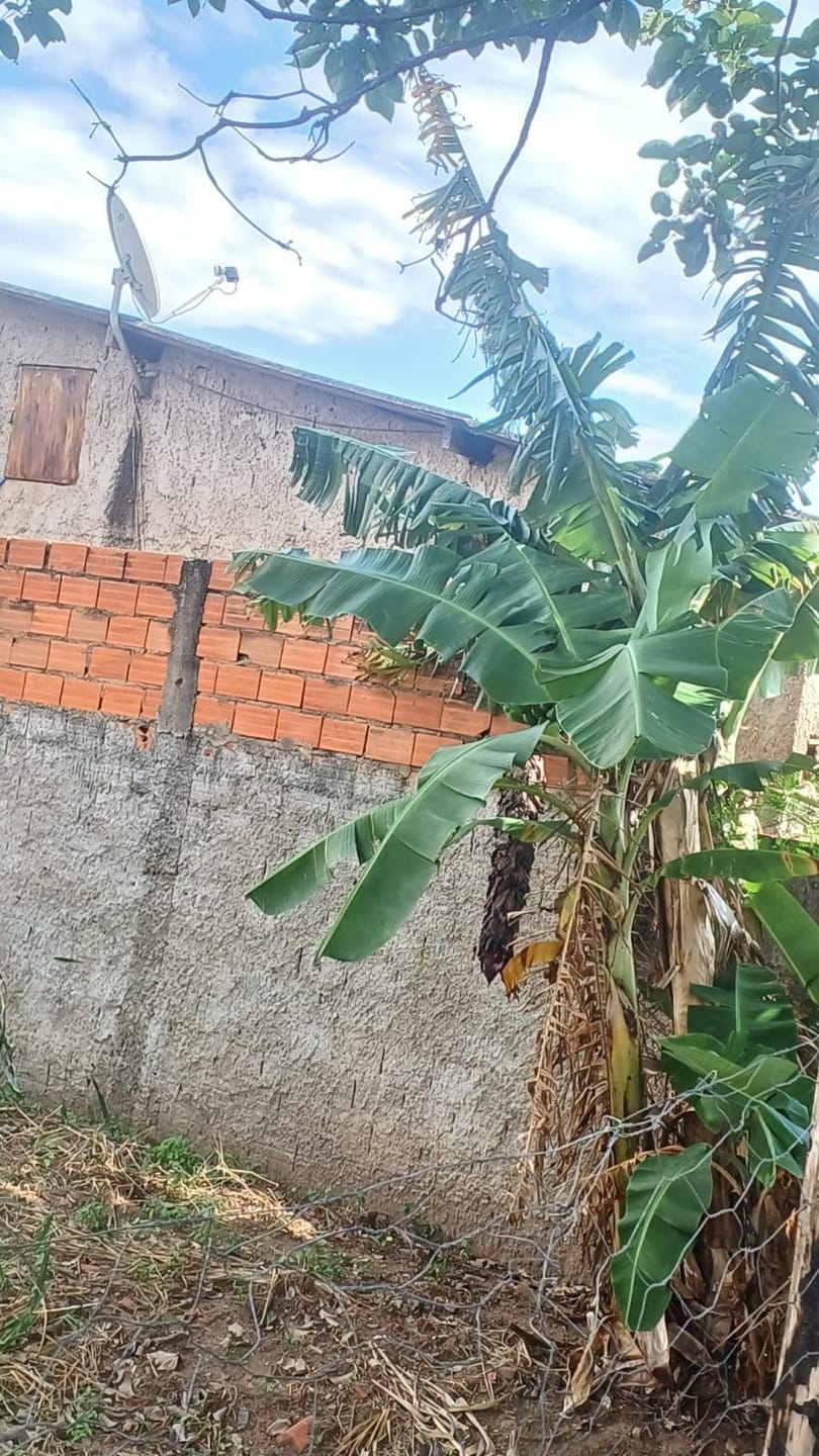 Terreno, 200 m² - Foto 3