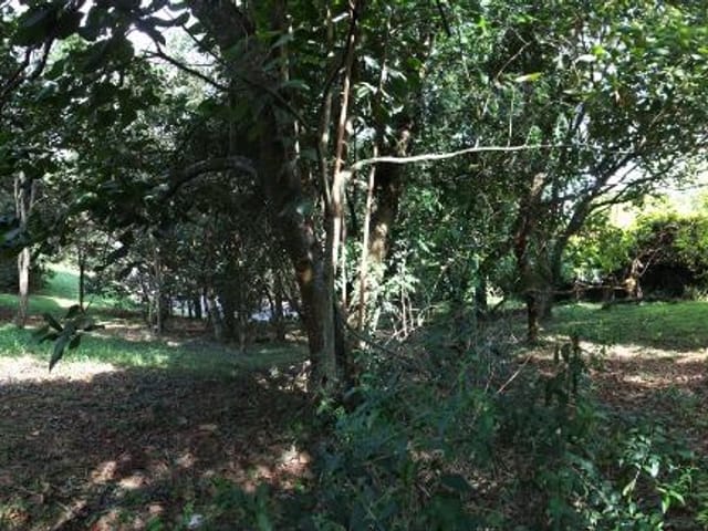 Terreno com 1752m², à venda, no bairro Vila de São Fernando em Cotia