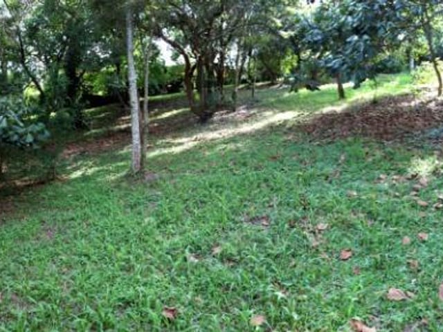 Terreno com 1752m², à venda, no bairro Vila de São Fernando em Cotia