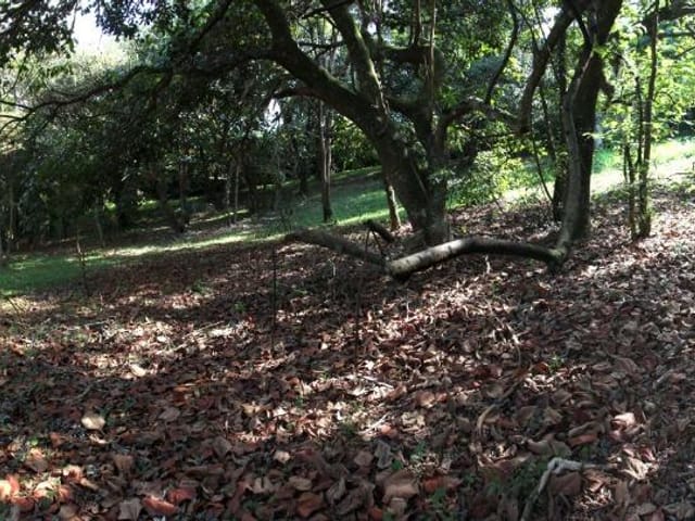 Terreno com 1752m², à venda, no bairro Vila de São Fernando em Cotia