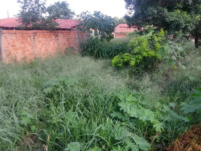 Foto do Terreno - Terreno à venda. 400 m² por 34000,00 - Pedro Patrício - Timon/MA | IMOBILIÁRIA ROCHA FILHO