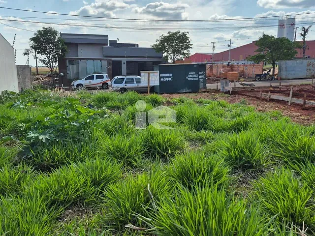 Terreno com 280m², à venda, no bairro Jardim Interlagos II em Arapongas
