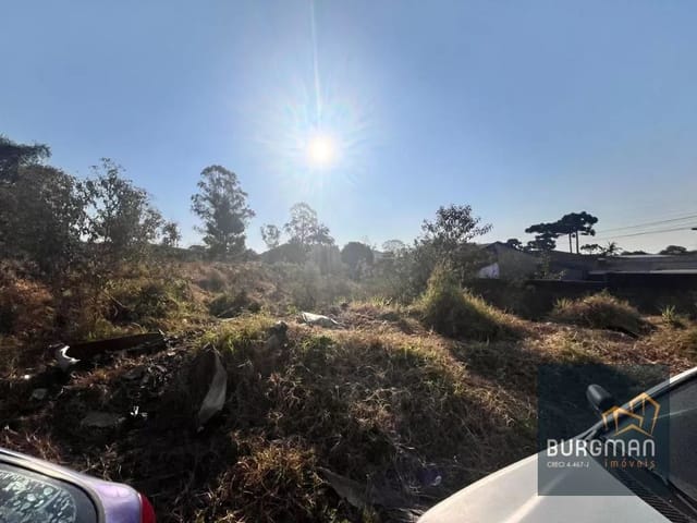 Terreno à venda, no bairro Borda Do Campo em São José Dos Pinhais