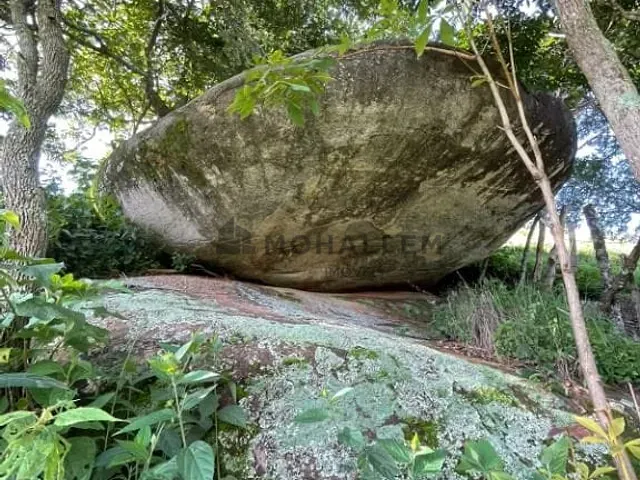 Terreno com 150000m², à venda, no bairro Sertão Pequeno em Delfim Moreira