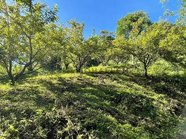 Terreno com 150000m², à venda, no bairro Sertão Pequeno em Delfim Moreira
