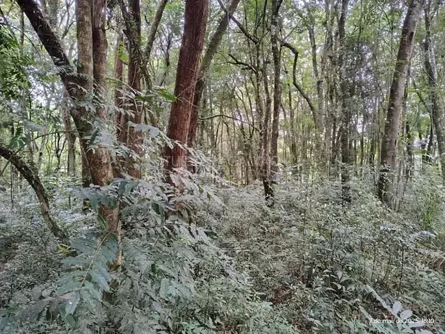 Terreno com 2m², à venda, no bairro Santa Felicidade em Curitiba